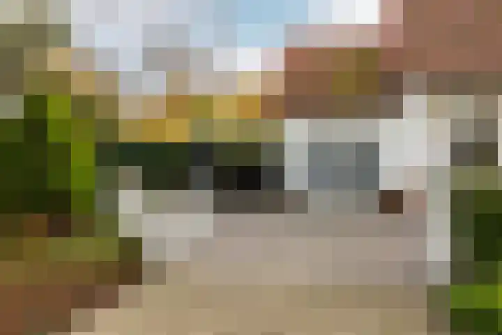 Courteniusstraat 4 Hellevoetsluis thumbnail 7