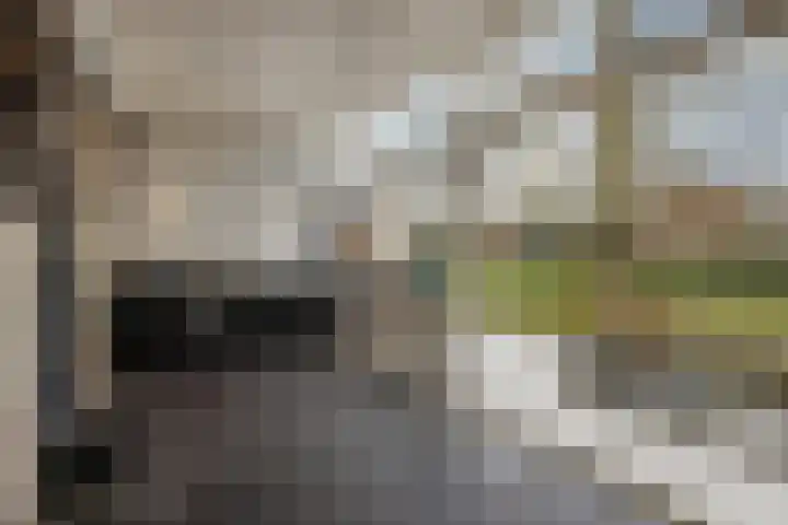 Courteniusstraat 6 Hellevoetsluis thumbnail 41