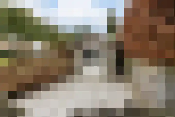 Courteniusstraat 6 Hellevoetsluis thumbnail 44