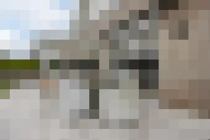 Courteniusstraat 6 Hellevoetsluis thumbnail 51