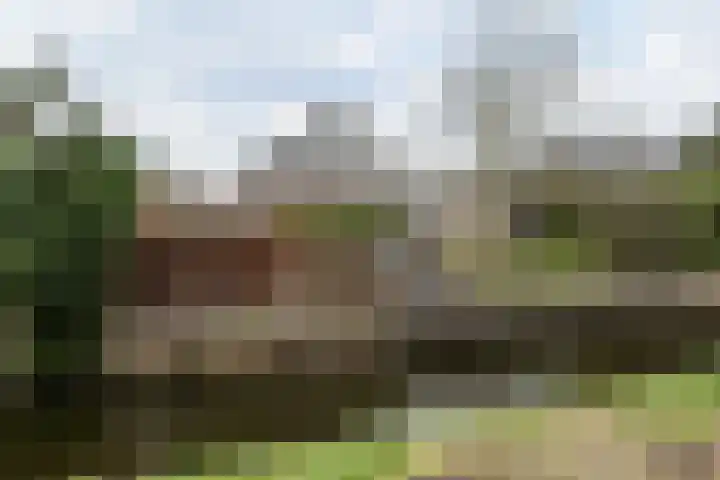 Courteniusstraat 6 Hellevoetsluis thumbnail 58