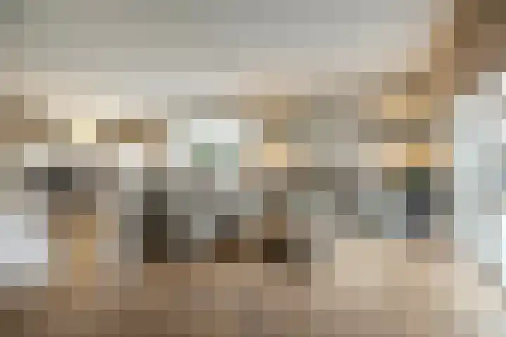 Courteniusstraat 6 Hellevoetsluis thumbnail 9