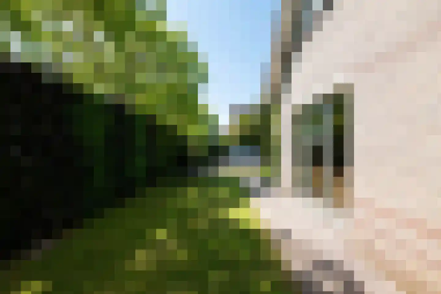 Courteniusstraat 9 Hellevoetsluis thumbnail 43