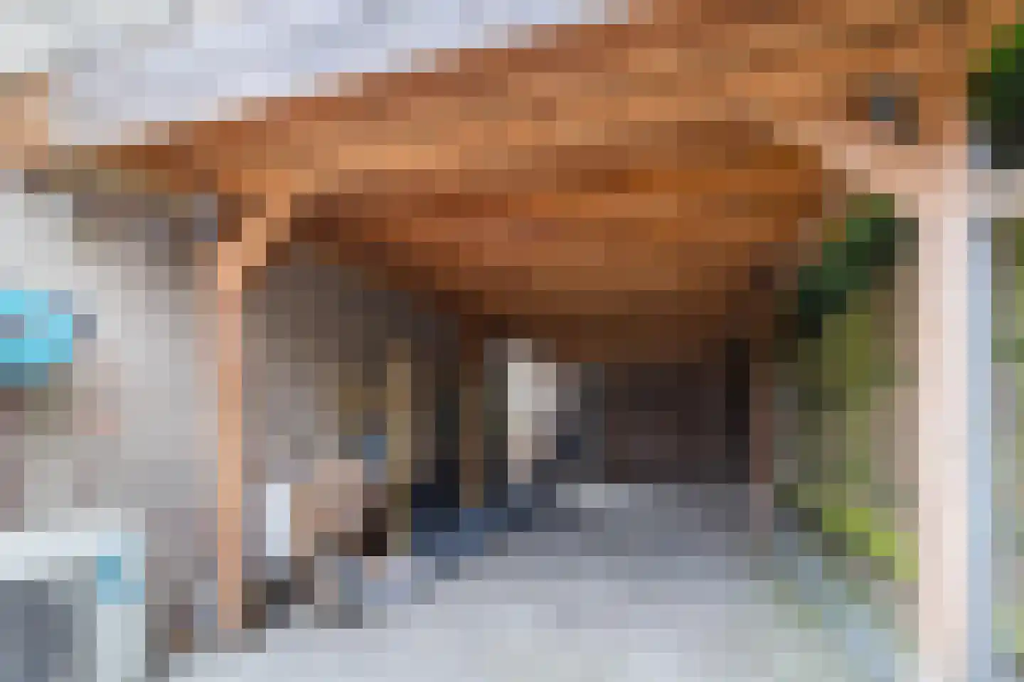 Courteniusstraat 9 Hellevoetsluis thumbnail 8