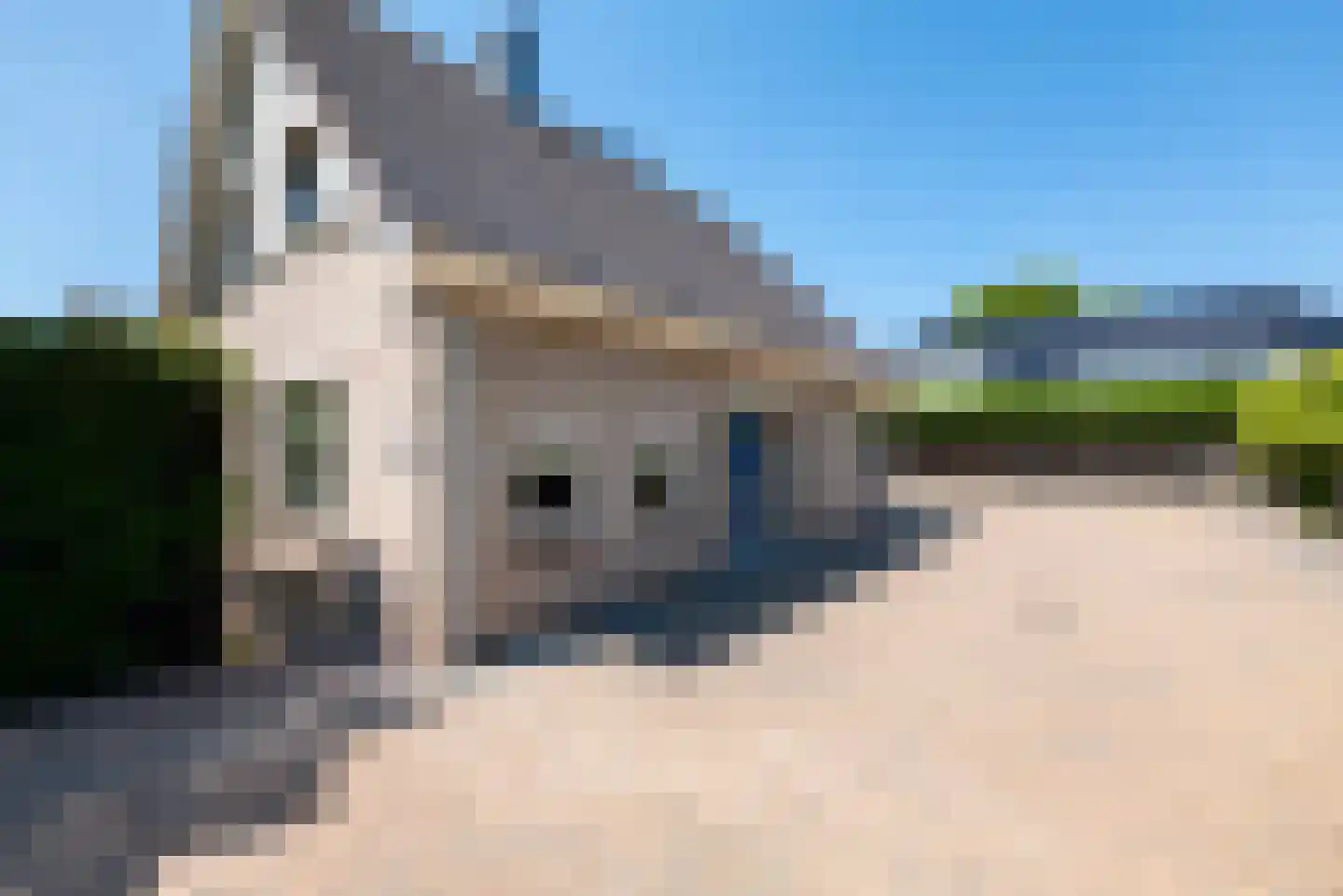 Courteniusstraat 9 Hellevoetsluis thumbnail 8