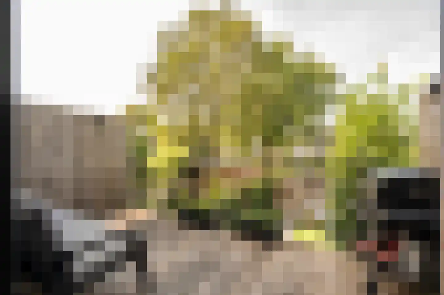 Courtine 15 Gorinchem thumbnail 18