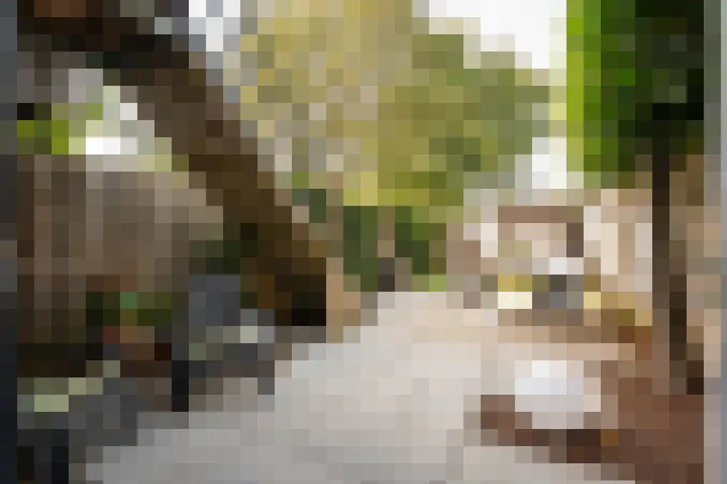 Courtine 15 Gorinchem thumbnail 48