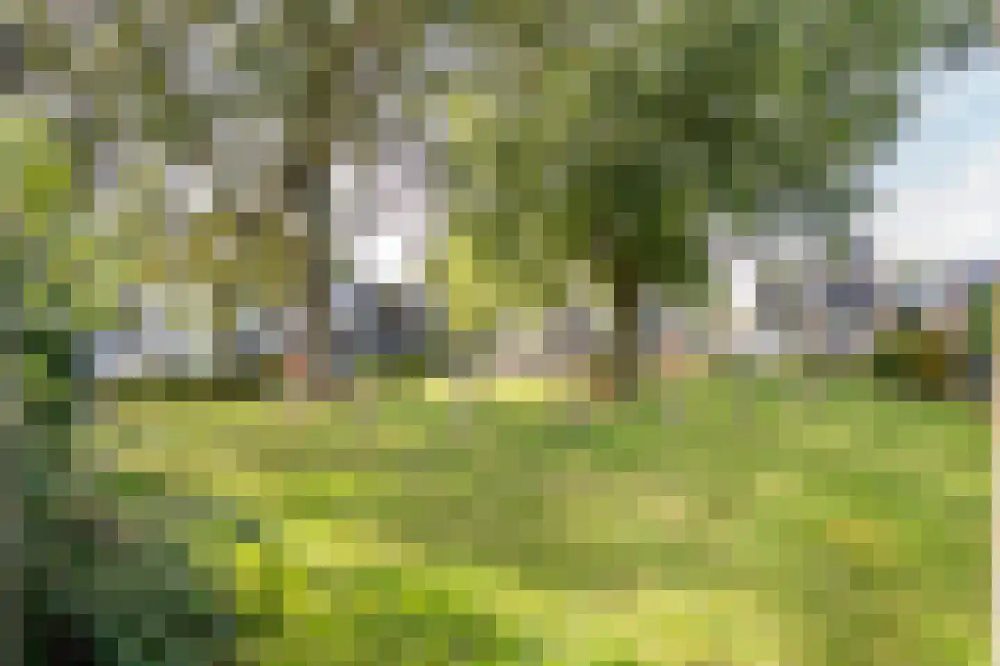 Courtine 15 Gorinchem thumbnail 55