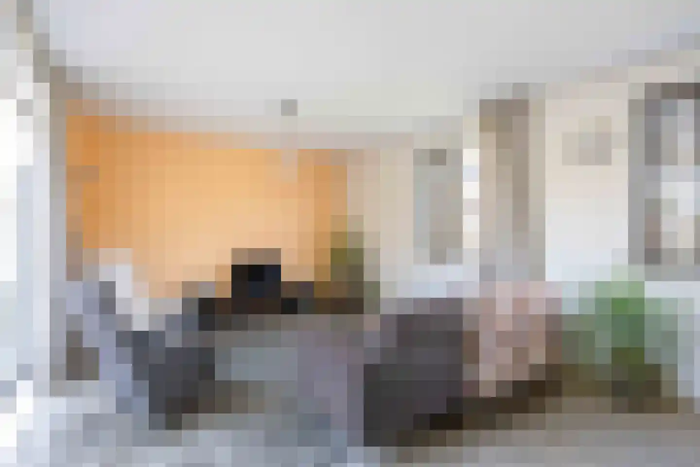 Courtine 19 Groningen thumbnail 13
