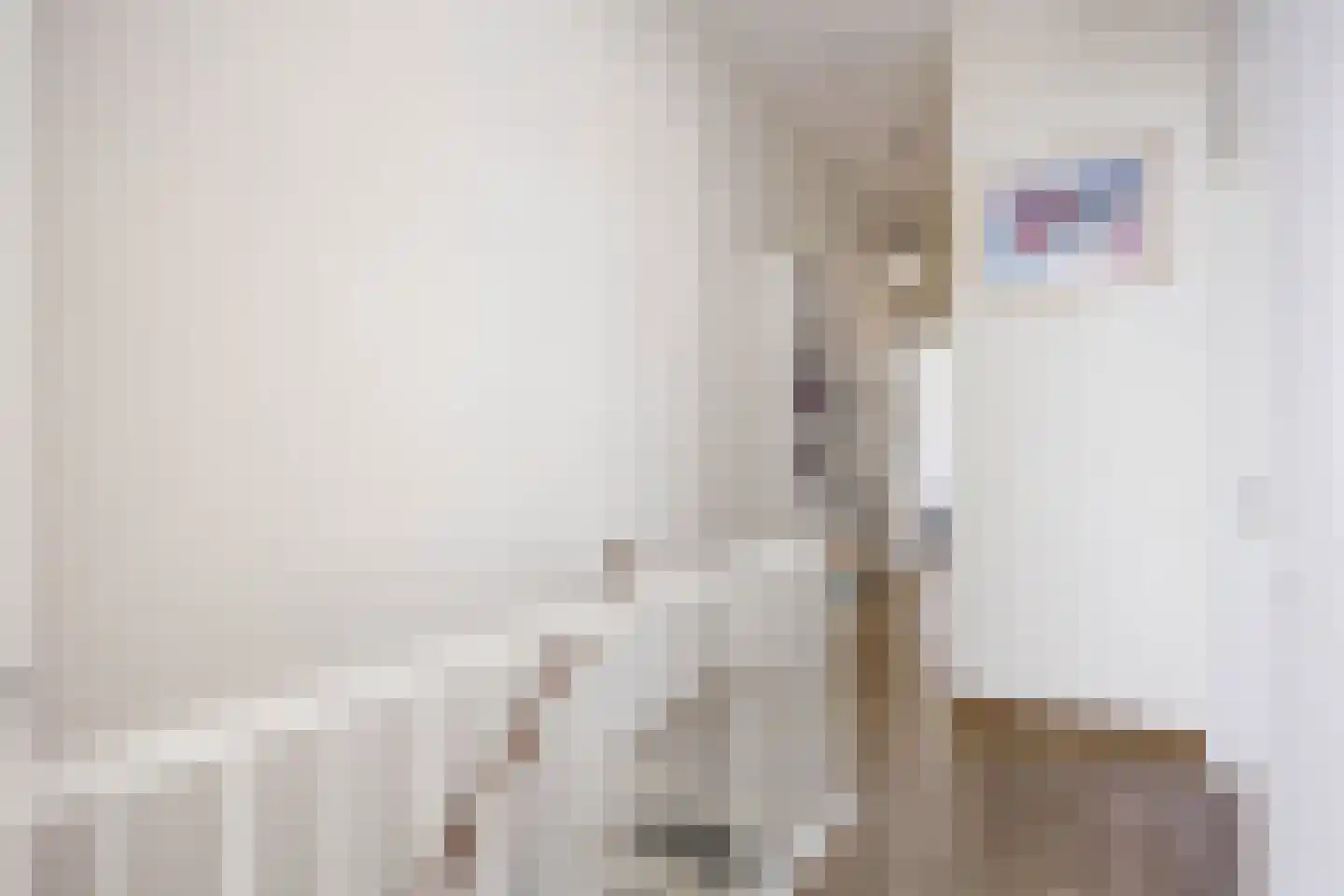 Courtine 19 Groningen thumbnail 18
