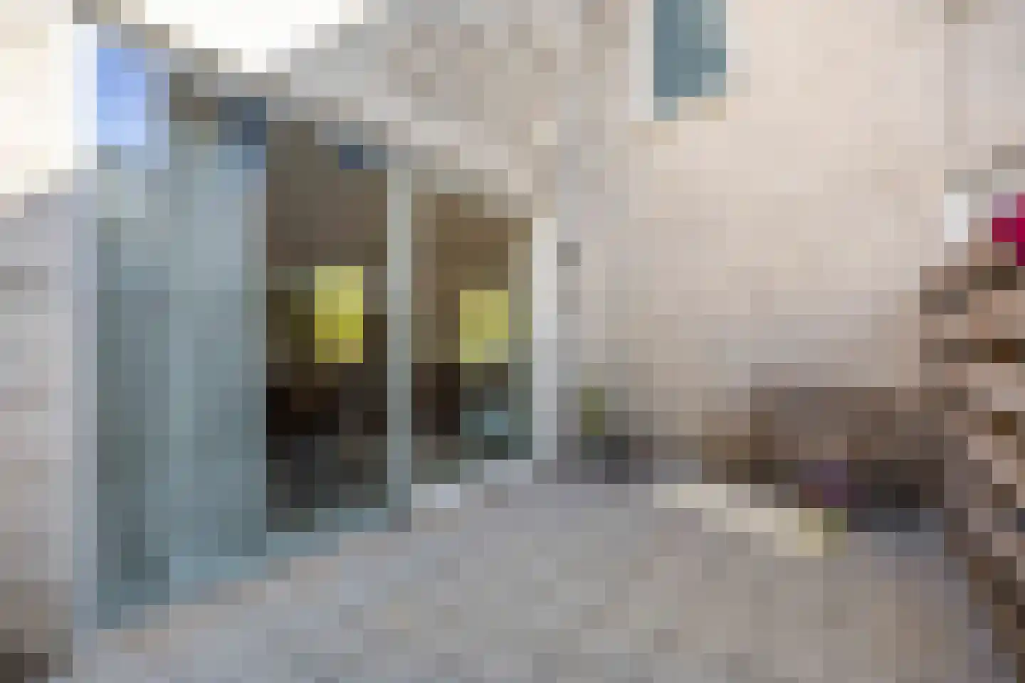 Courtine 19 Groningen thumbnail 33