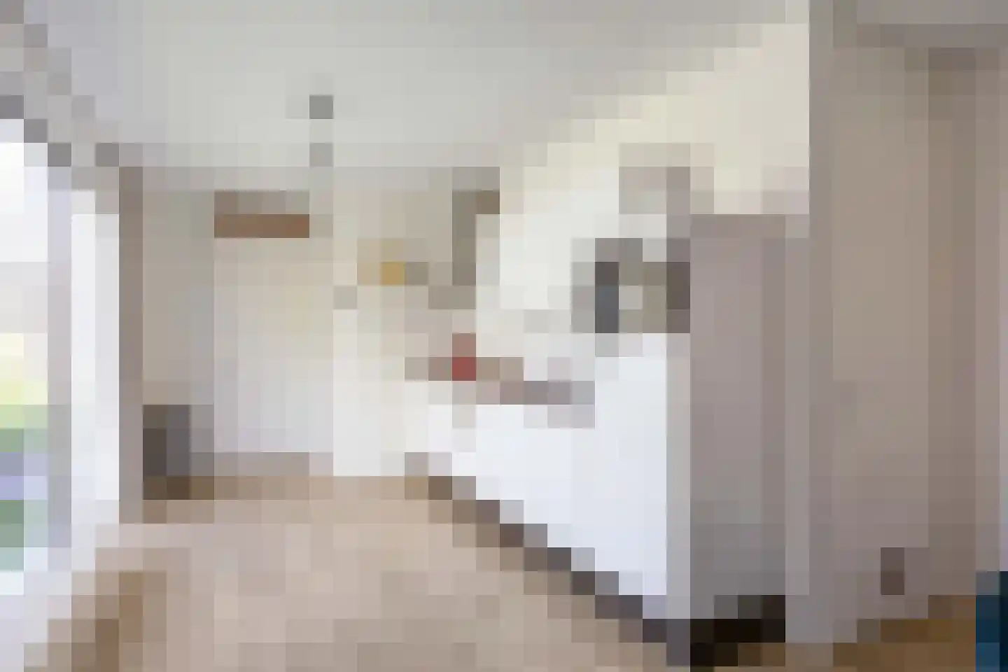 Courtine 19 Groningen thumbnail 9