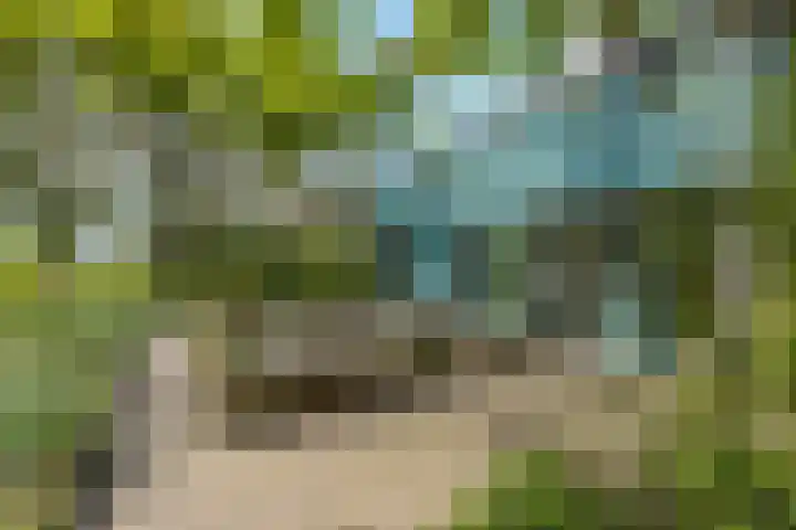 Courtine 19 Hellevoetsluis thumbnail 31