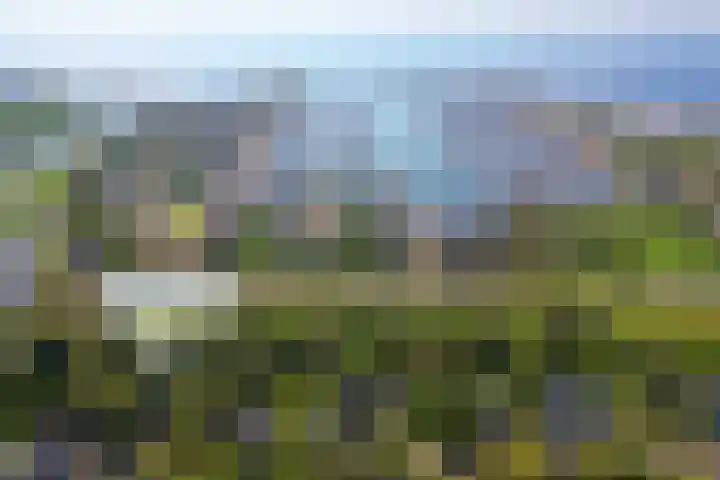 Courtine 19 Hellevoetsluis thumbnail 6