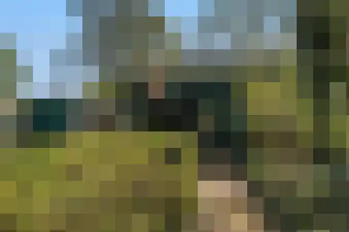 Courtine 19 Hellevoetsluis thumbnail 9