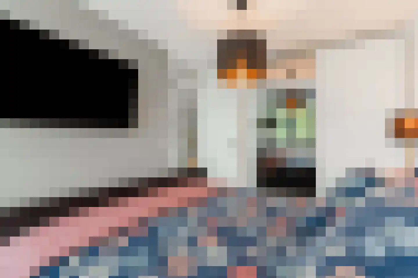 Courtine 19 Zaltbommel thumbnail 24