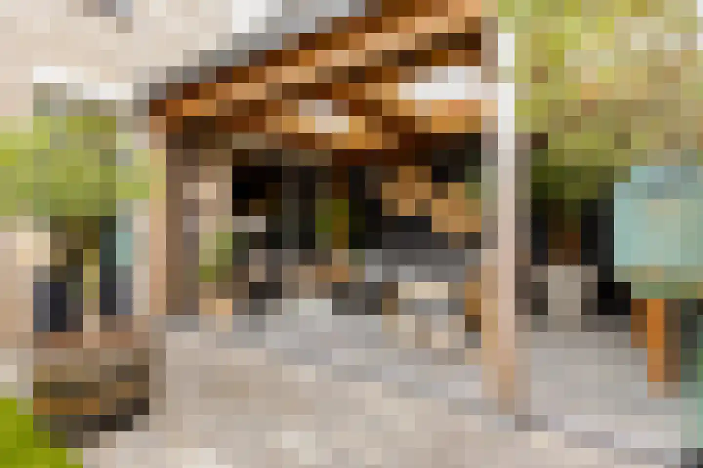 Courtine 19 Zaltbommel thumbnail 49