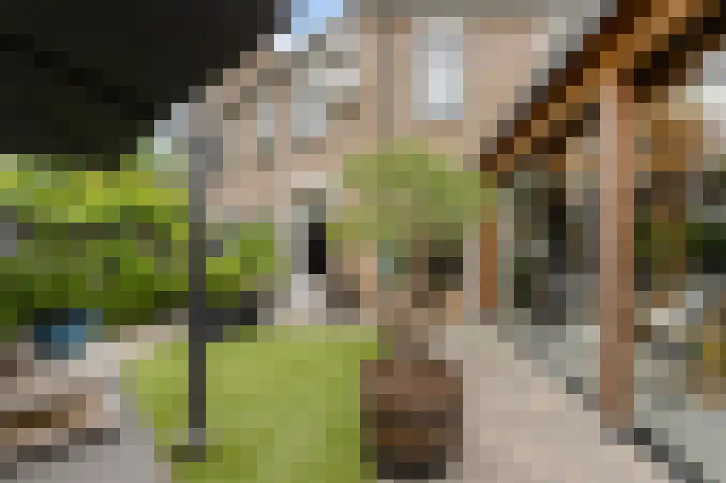 Courtine 19 Zaltbommel thumbnail 54