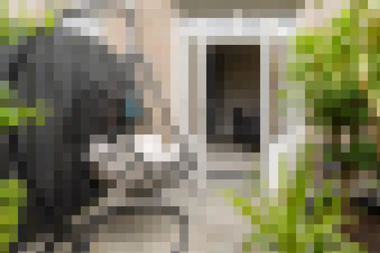Courtine 19 Zaltbommel thumbnail 55