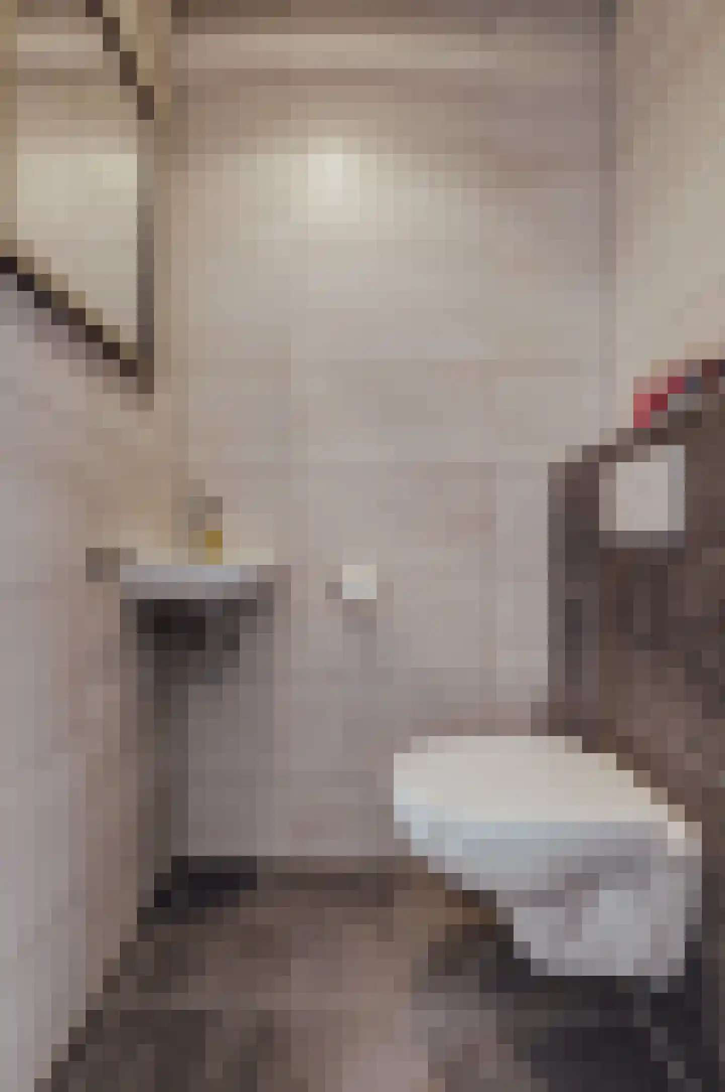 Courtine 2 Sleeuwijk thumbnail 10