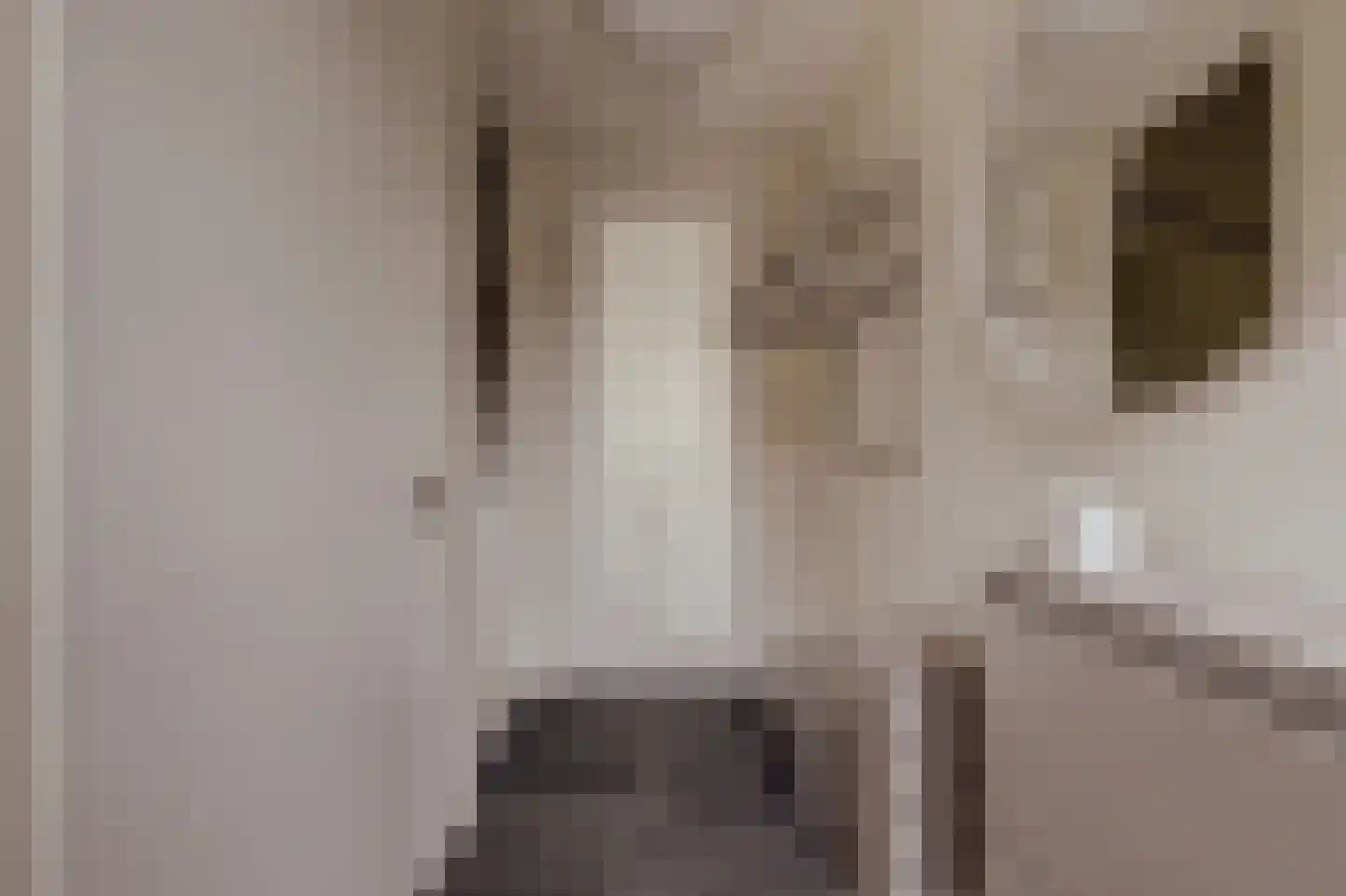 Courtine 2 Sleeuwijk thumbnail 11