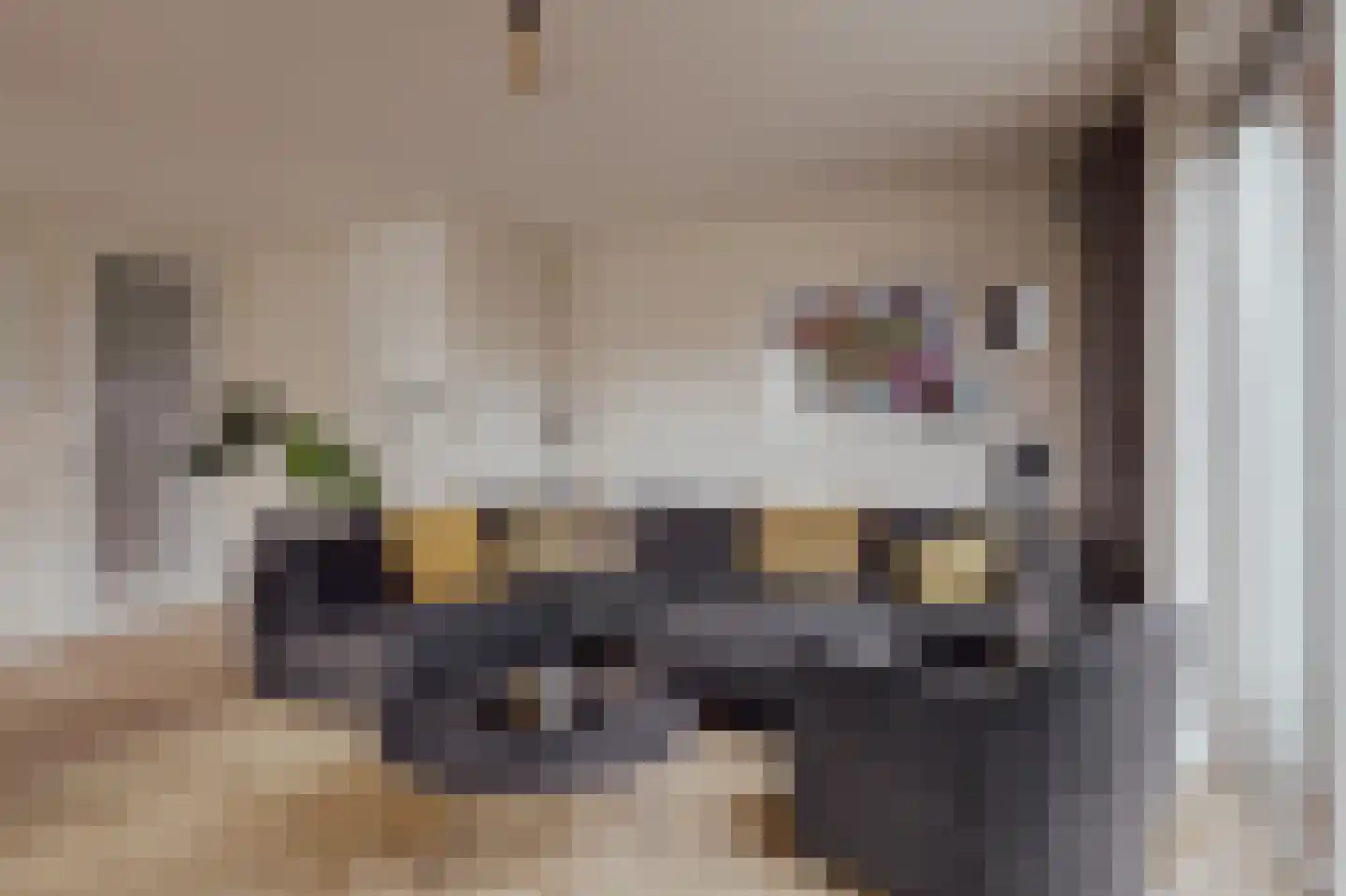 Courtine 2 Sleeuwijk thumbnail 13