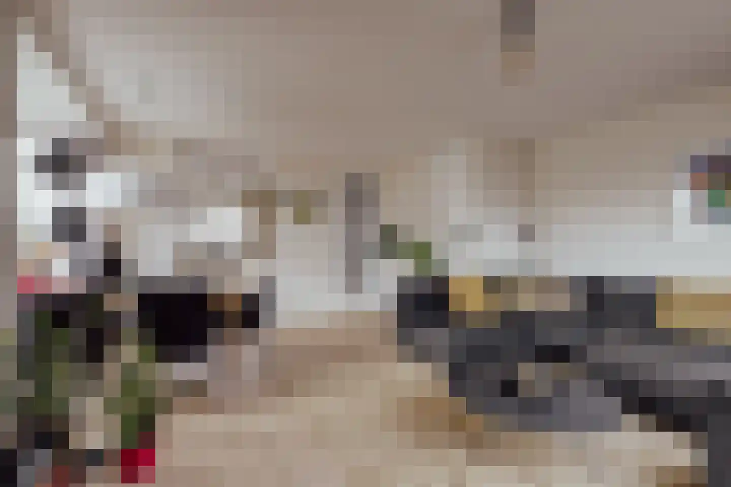 Courtine 2 Sleeuwijk thumbnail 14