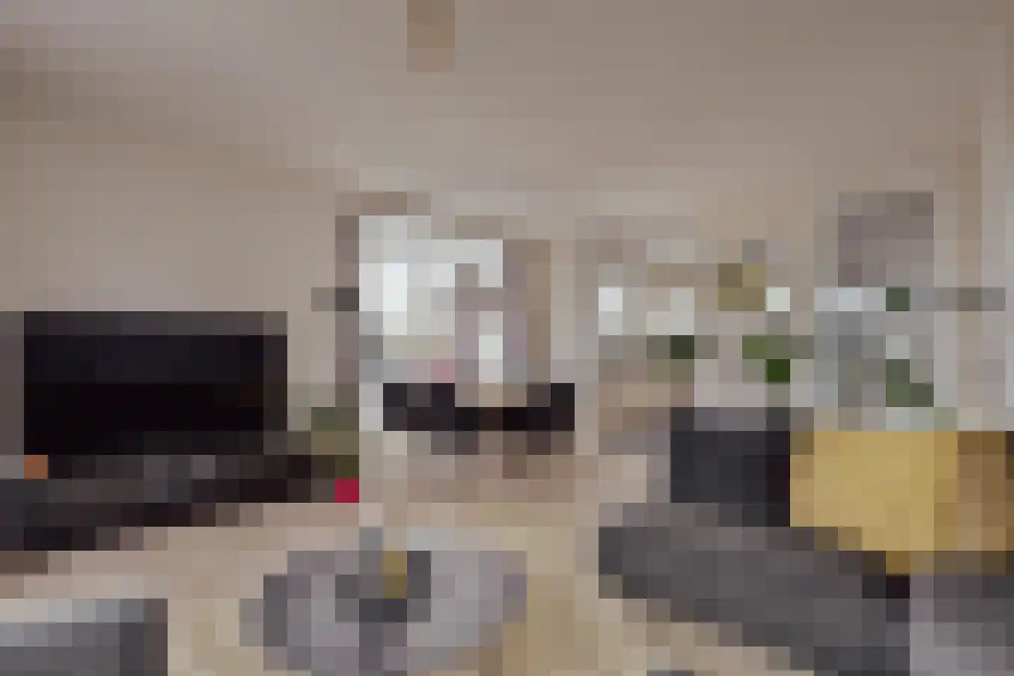 Courtine 2 Sleeuwijk thumbnail 15