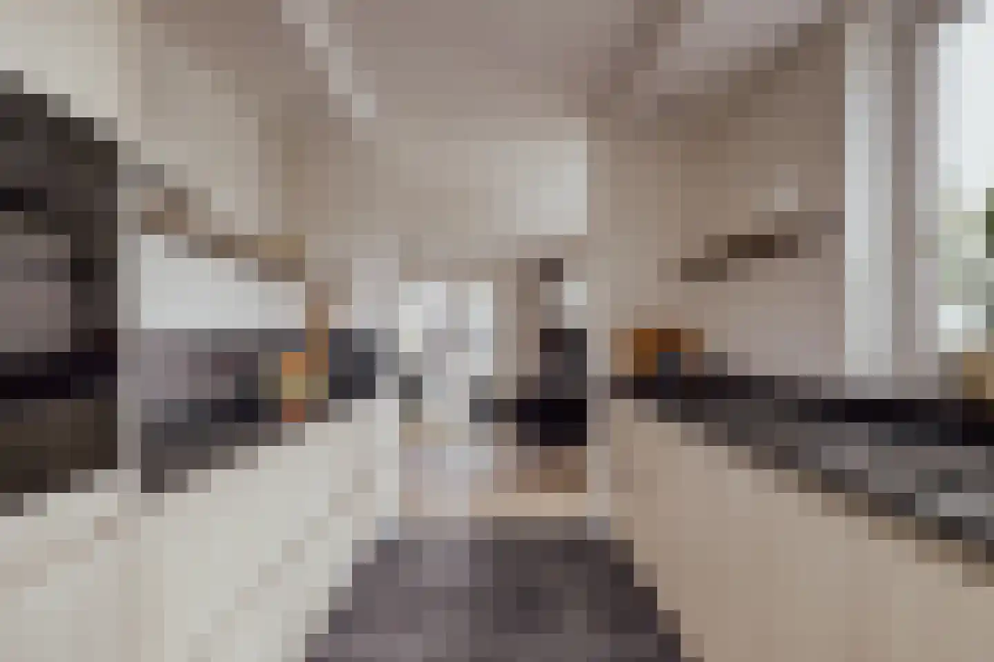 Courtine 2 Sleeuwijk thumbnail 18