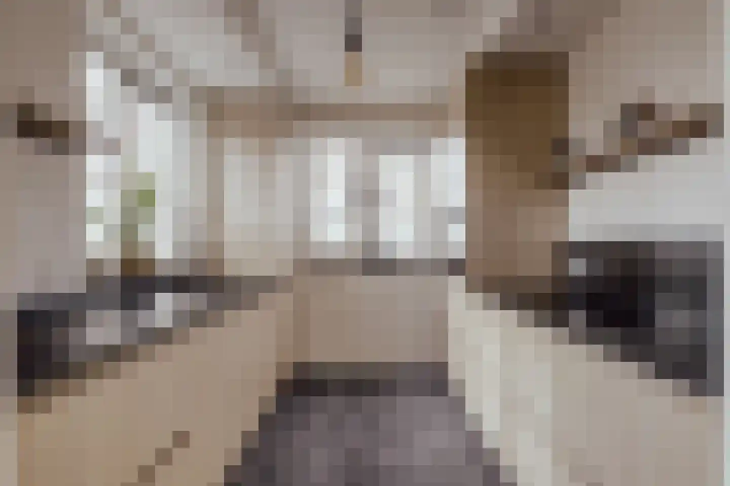 Courtine 2 Sleeuwijk thumbnail 19