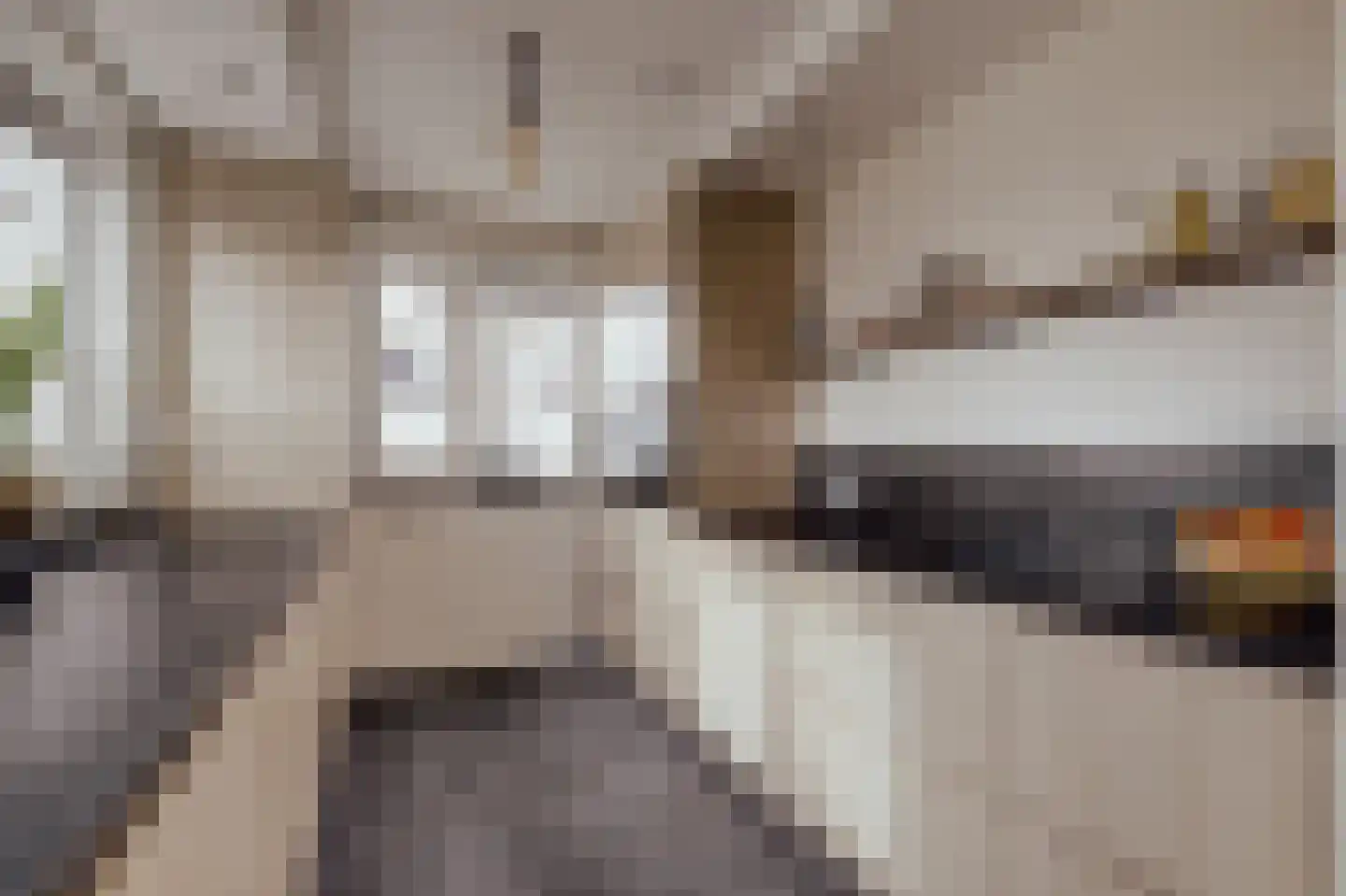 Courtine 2 Sleeuwijk thumbnail 20