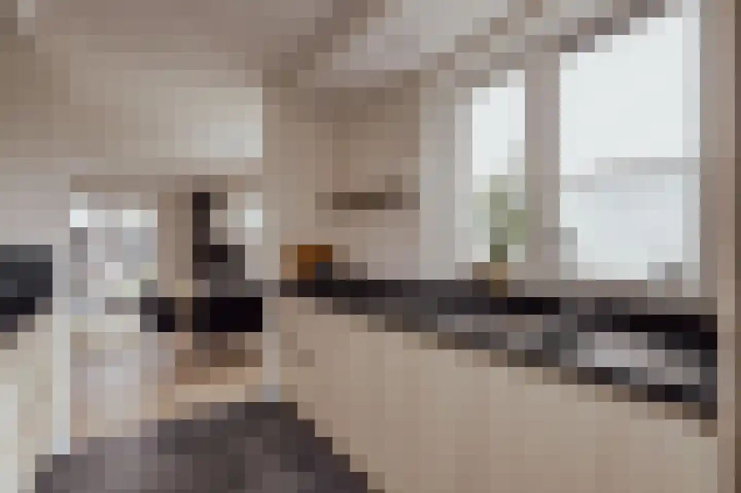 Courtine 2 Sleeuwijk thumbnail 24