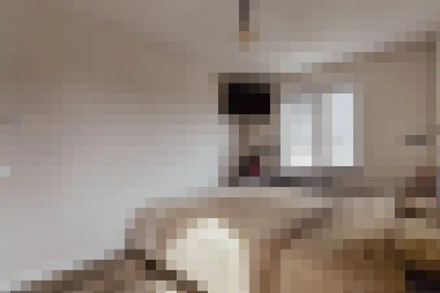 Courtine 2 Sleeuwijk thumbnail 31