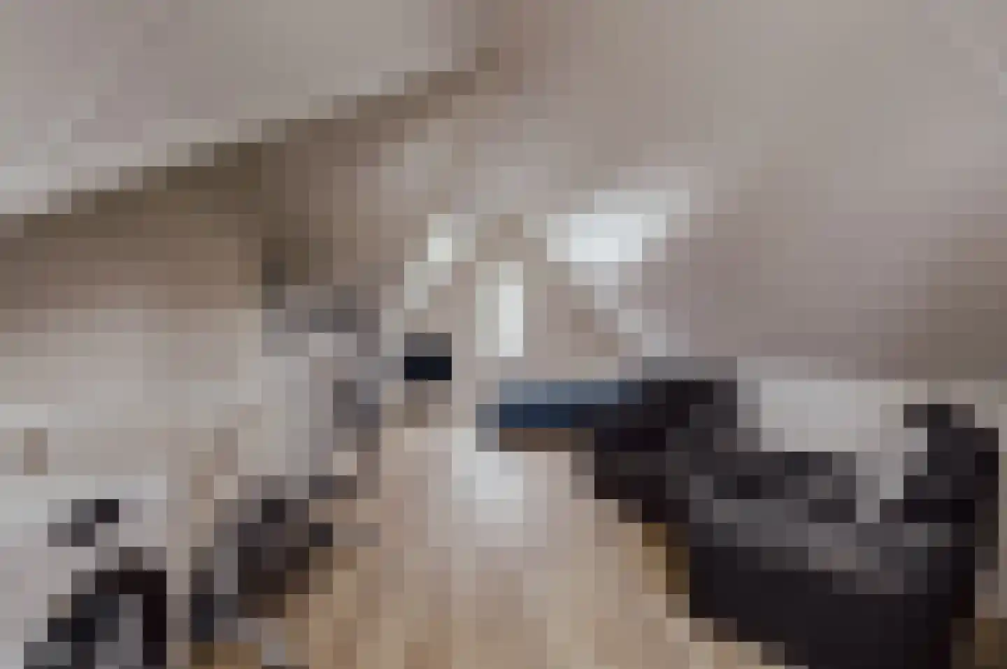 Courtine 2 Sleeuwijk thumbnail 37