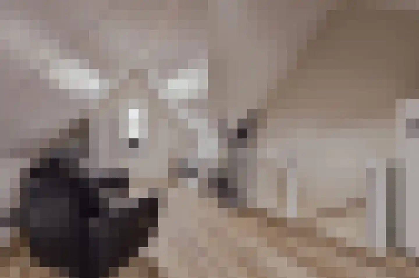 Courtine 2 Sleeuwijk thumbnail 38