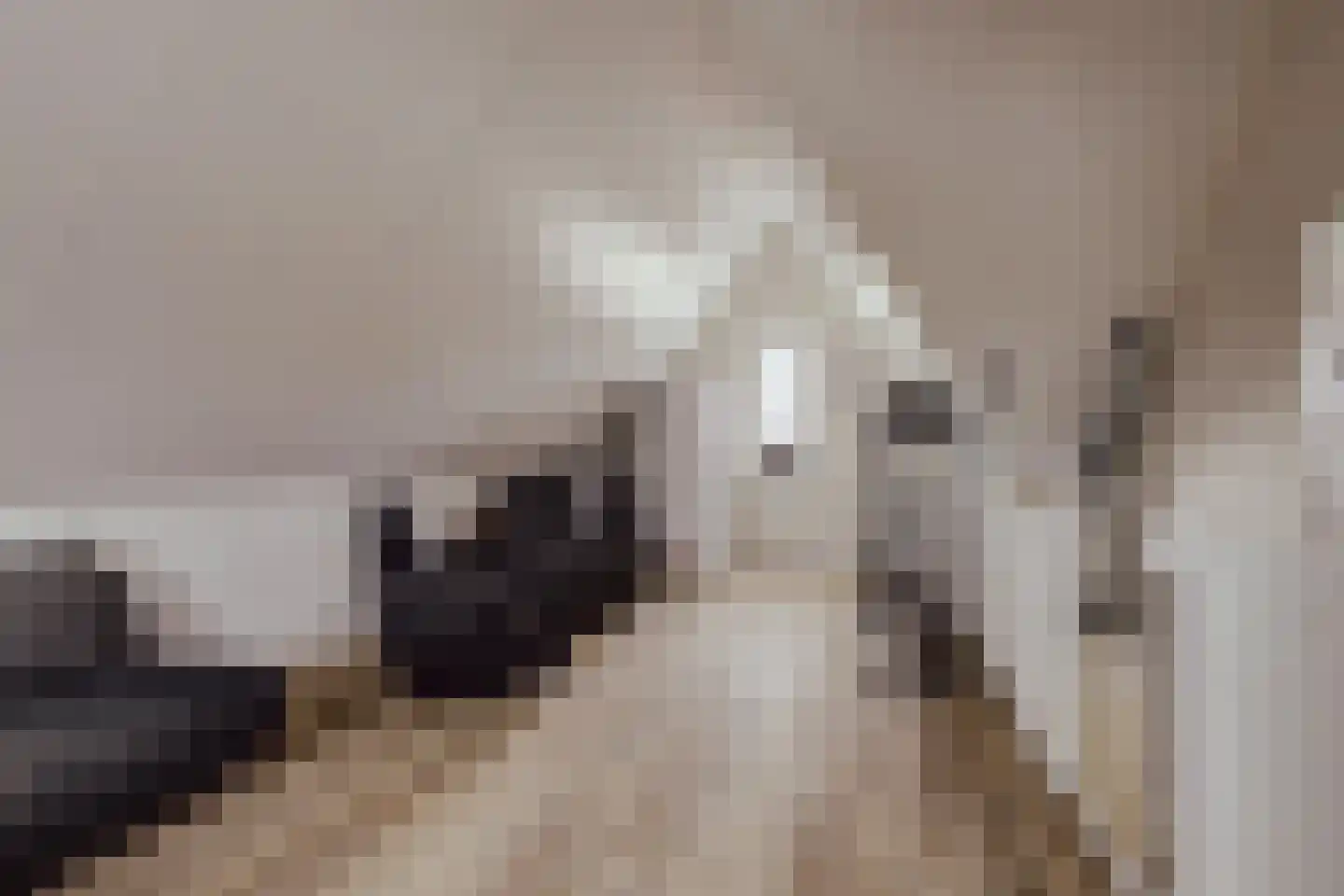 Courtine 2 Sleeuwijk thumbnail 39