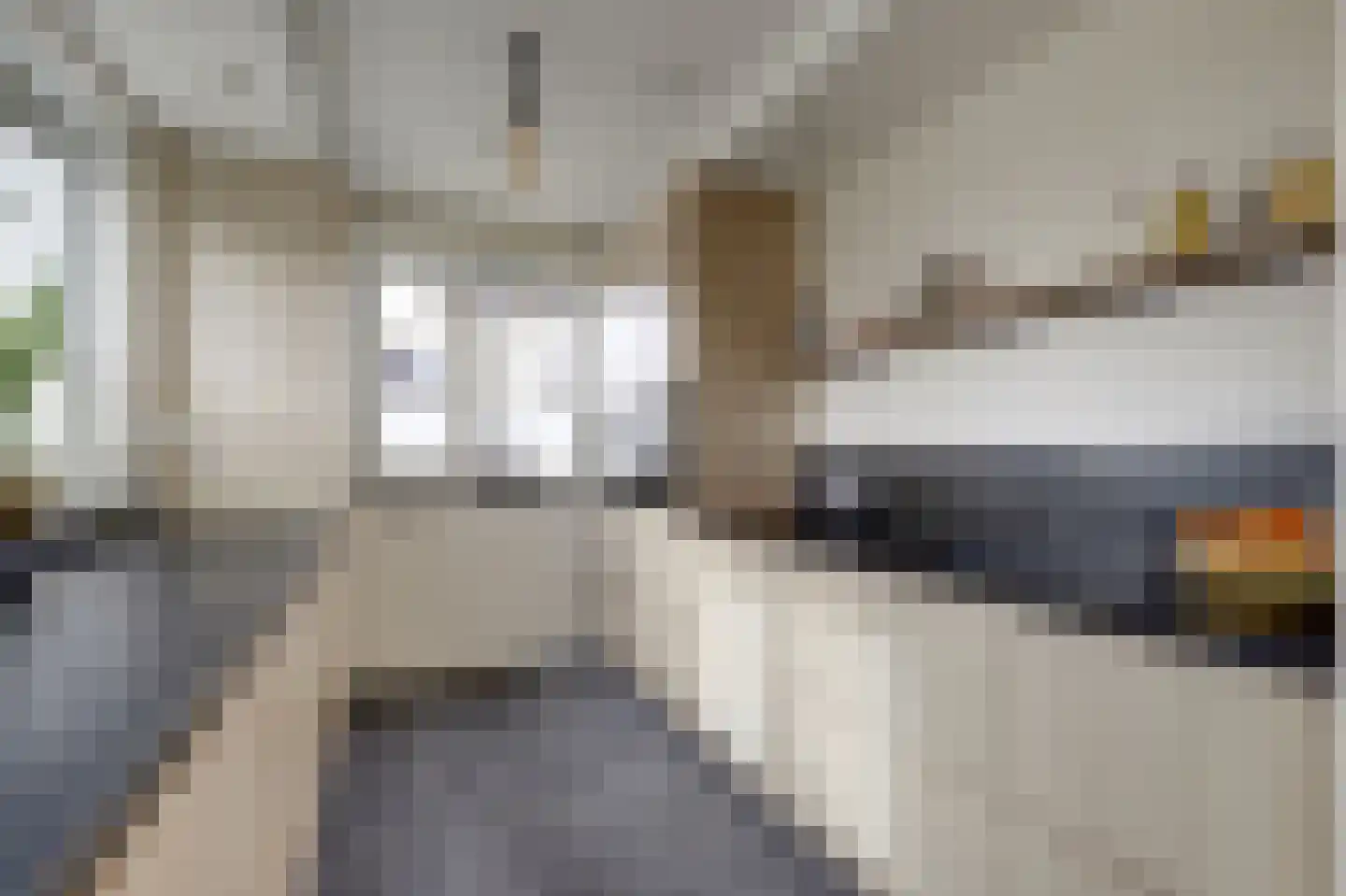 Courtine 2 Sleeuwijk thumbnail 4