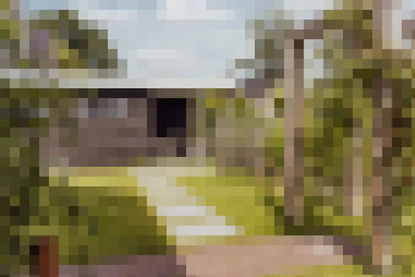 Courtine 2 Sleeuwijk thumbnail 41