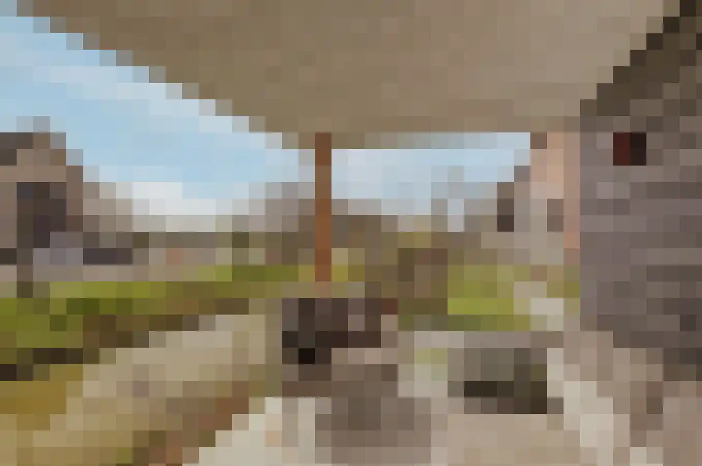 Courtine 2 Sleeuwijk thumbnail 46