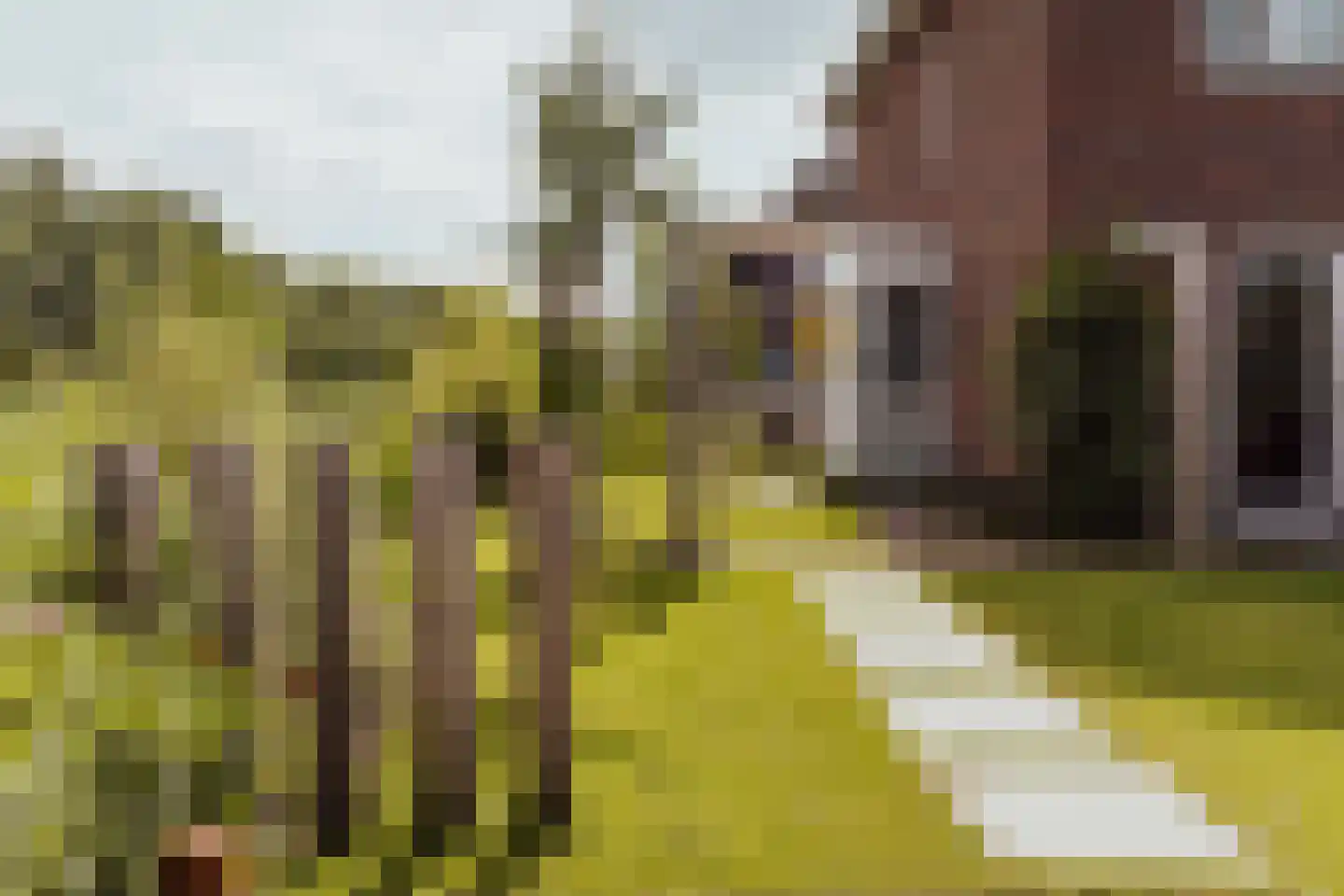 Courtine 2 Sleeuwijk thumbnail 48