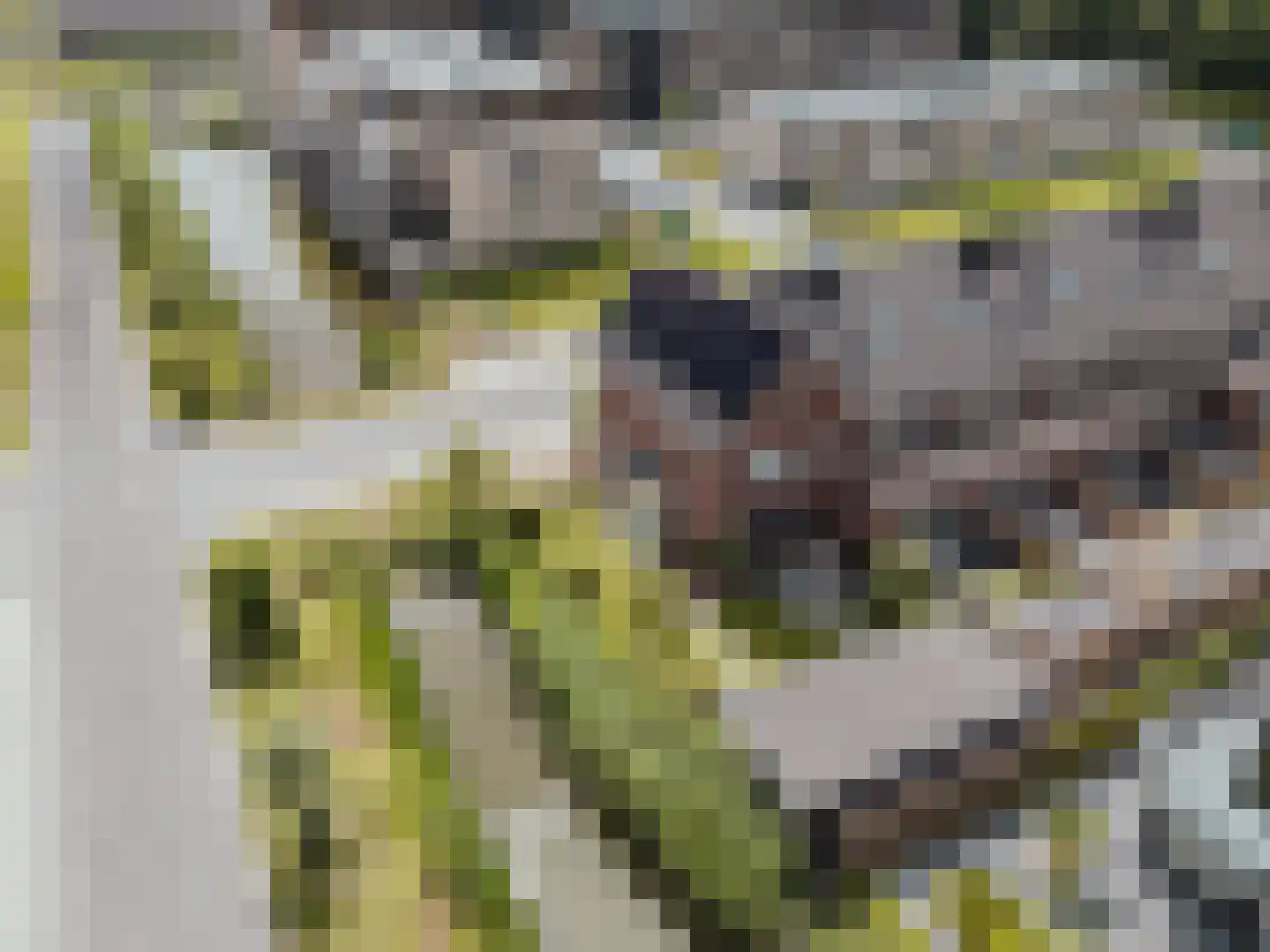 Courtine 2 Sleeuwijk thumbnail 53