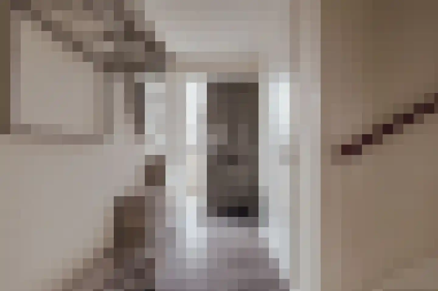 Courtine 2 Sleeuwijk thumbnail 8