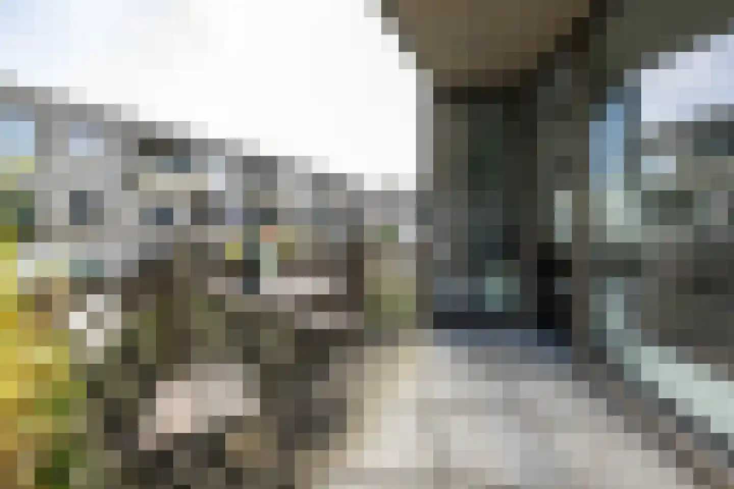 Courtine 8 Groningen thumbnail 24