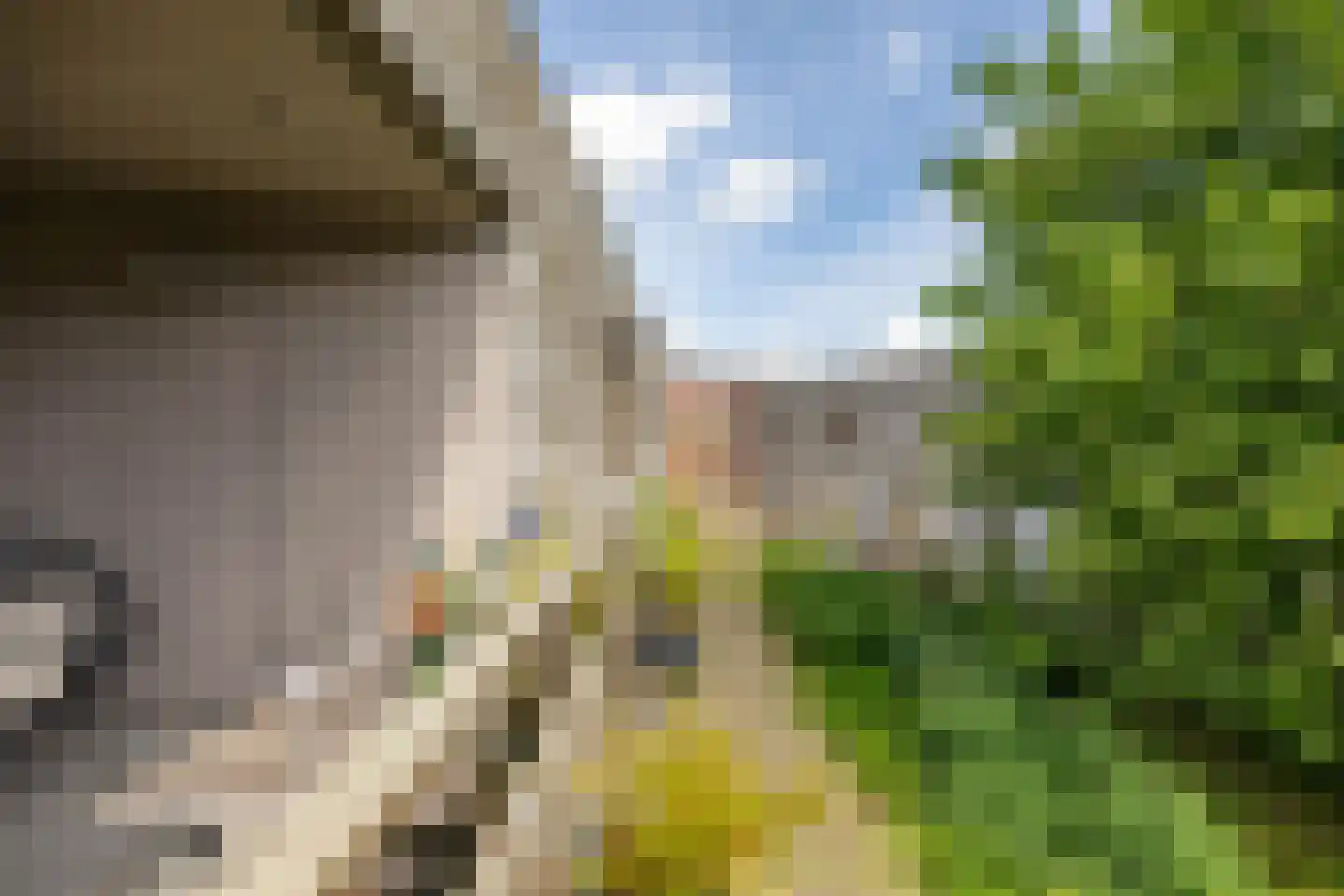 Courtine 8 Groningen thumbnail 25