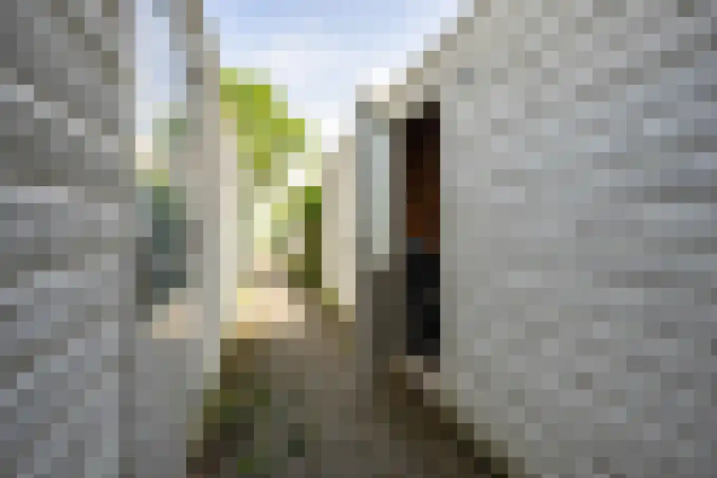 Courtine 8 Groningen thumbnail 26