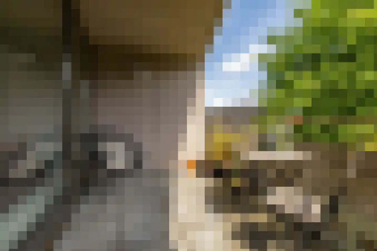 Courtine 8 Groningen thumbnail 5
