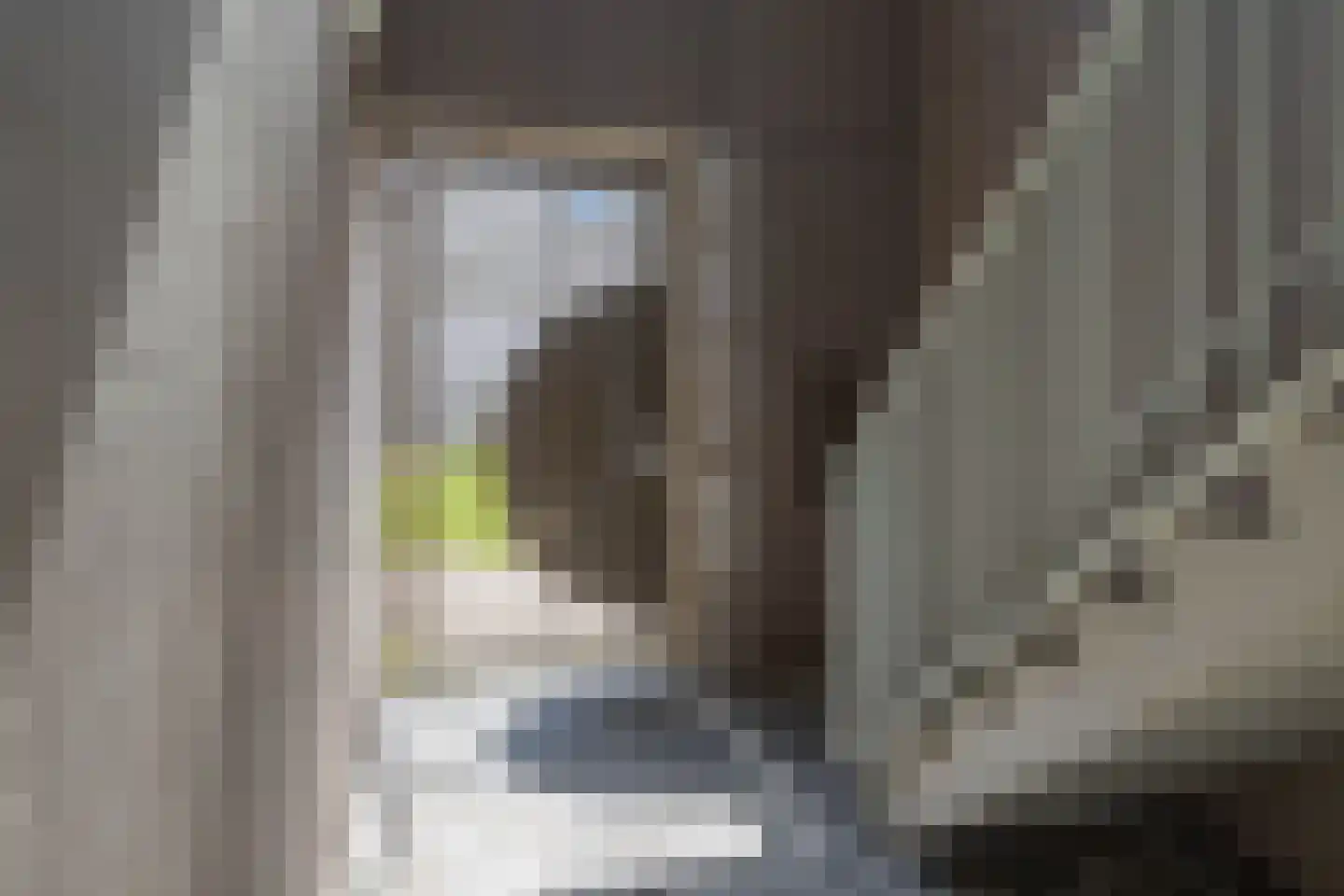 Courtine 8 Groningen thumbnail 8