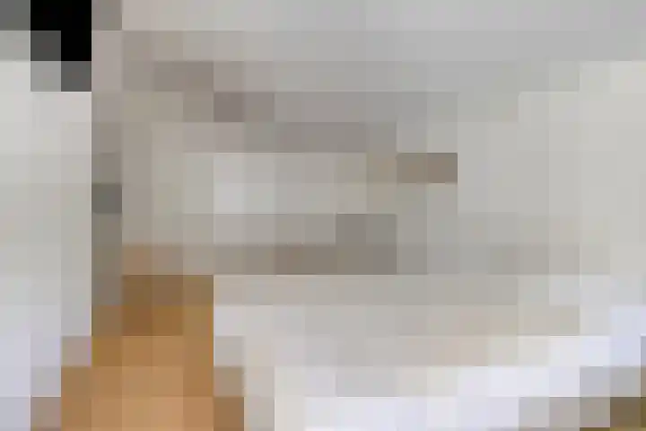Courtine 9 Hellevoetsluis thumbnail 12