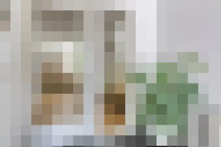Courtine 9 Hellevoetsluis thumbnail 6