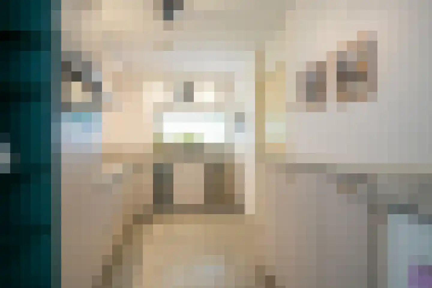 Courtpendu 13 Eijsden thumbnail 17